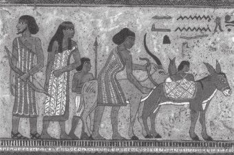 Иллюстрация к книге — Древний Восток и Азия [i_212.jpg]