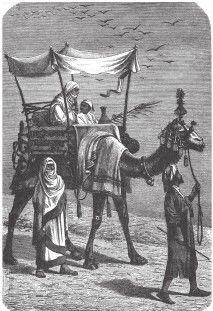 Иллюстрация к книге — Древний Восток и Азия [i_270.jpg]