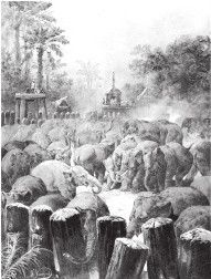 Иллюстрация к книге — Древний Восток и Азия [i_510.jpg]