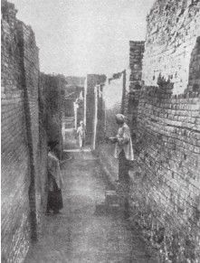 Иллюстрация к книге — Древний Восток и Азия [i_518.jpg]