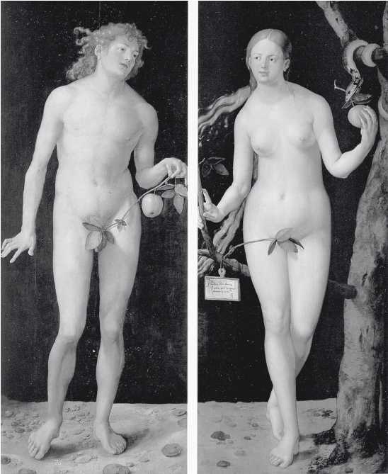 Иллюстрация к книге — Древние цивилизации [i_020.jpg]