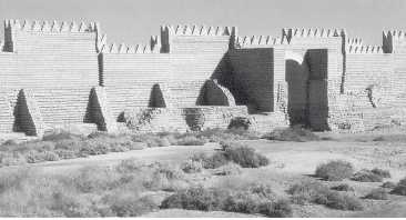 Иллюстрация к книге — Древние цивилизации [i_116.jpg]