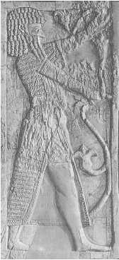 Иллюстрация к книге — Древние цивилизации [i_117.jpg]