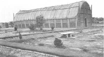 Иллюстрация к книге — Древние цивилизации [i_121.jpg]