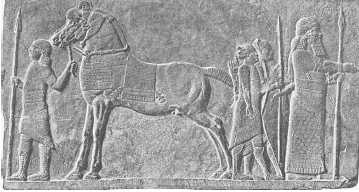 Иллюстрация к книге — Древние цивилизации [i_189.jpg]