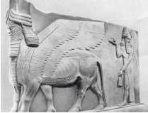 Иллюстрация к книге — Древние цивилизации [i_231.jpg]