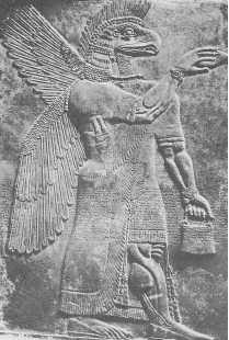 Иллюстрация к книге — Древние цивилизации [i_234.jpg]