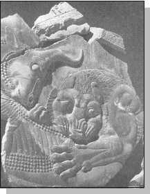 Иллюстрация к книге — Древние цивилизации [i_237.jpg]