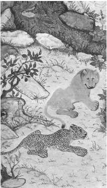 Иллюстрация к книге — Древние цивилизации [i_243.jpg]