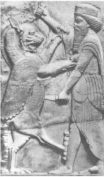 Иллюстрация к книге — Древние цивилизации [i_244.jpg]