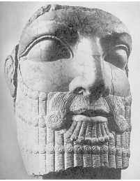 Иллюстрация к книге — Древние цивилизации [i_283.jpg]