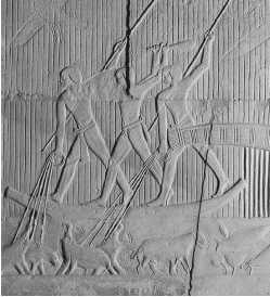 Иллюстрация к книге — Древние цивилизации [i_463.jpg]