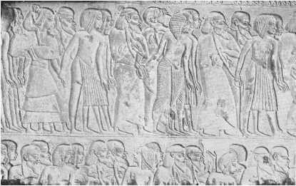 Иллюстрация к книге — Древние цивилизации [i_533.jpg]