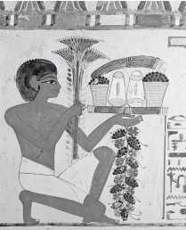 Иллюстрация к книге — Древние цивилизации [i_694.jpg]