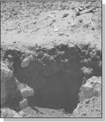 Иллюстрация к книге — Древние цивилизации [i_768.jpg]