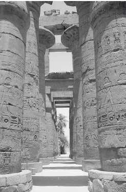 Иллюстрация к книге — Древние цивилизации [i_804.jpg]