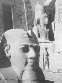 Иллюстрация к книге — Древние цивилизации [i_867.jpg]