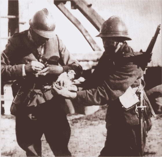 Иллюстрация к книге — Первая мировая война. Борьба миров [i_263.jpg]