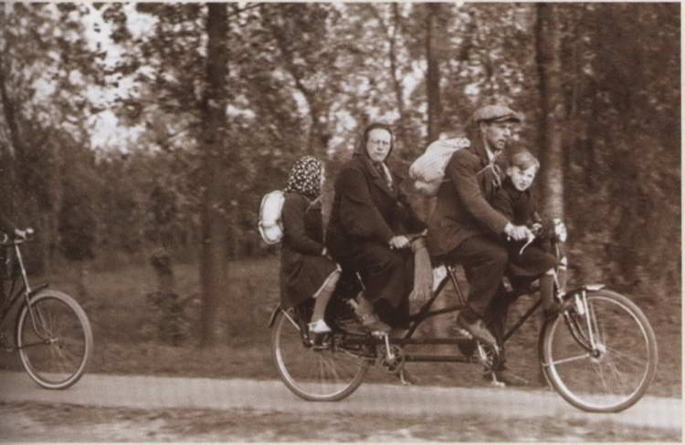 Иллюстрация к книге — Первая мировая война. Борьба миров [i_269.jpg]