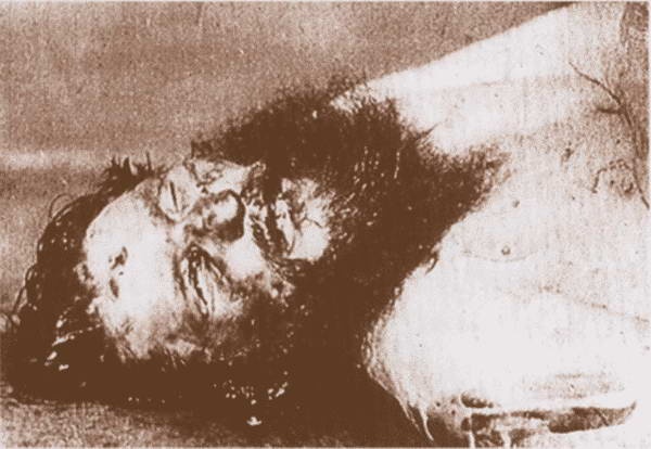 Иллюстрация к книге — Первая мировая война. Борьба миров [i_291.jpg]