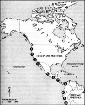 Иллюстрация к книге — 1421 год, когда Китай открыл мир [i_055.jpg]
