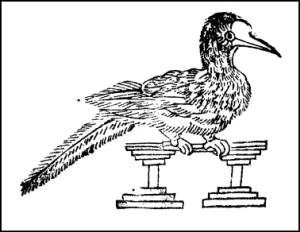 Иллюстрация к книге — 1421 год, когда Китай открыл мир [i_093.jpg]