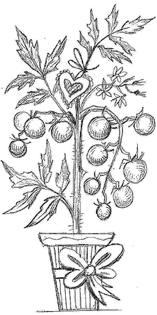 Иллюстрация к книге — Жизнь замечательных растений [zhizn_zamechatelny_rastenijj00201.jpg]