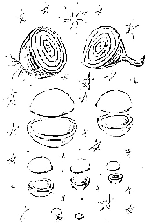 Иллюстрация к книге — Жизнь замечательных растений [zhizn_zamechatelny_rastenijj00251.jpg]