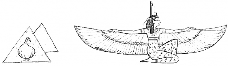 Иллюстрация к книге — Жизнь замечательных растений [zhizn_zamechatelny_rastenijj0025kopija2.jpg]