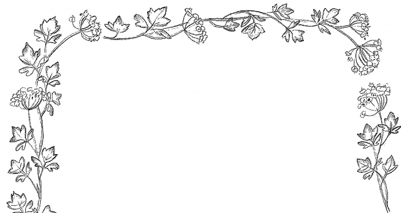 Иллюстрация к книге — Жизнь замечательных растений [zhizn_zamechatelny_rastenijj003921.jpg]