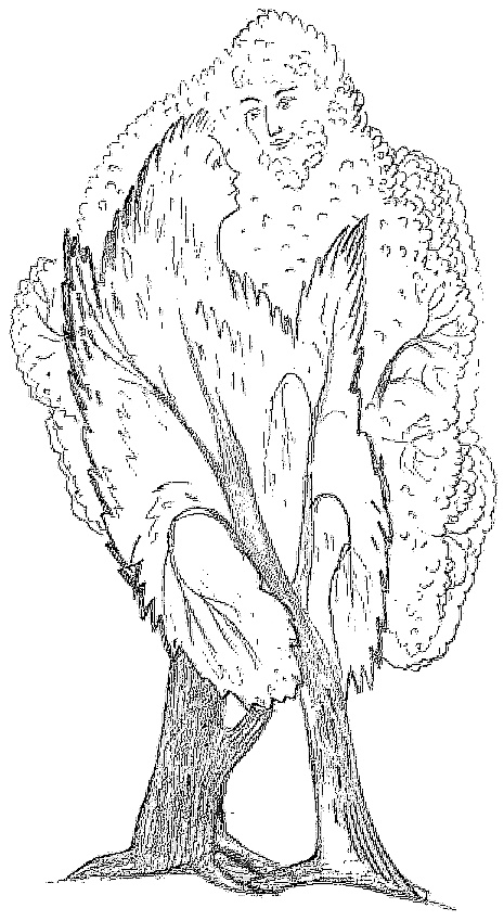 Иллюстрация к книге — Жизнь замечательных растений [zhizn_zamechatelny_rastenijj00721.jpg]