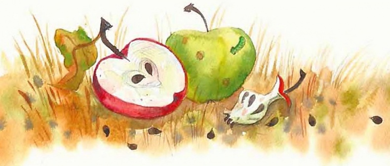 Иллюстрация к книге — Жизнь замечательных растений [zhizn_zamechatelny_rastenijj00771.jpg]