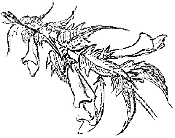 Иллюстрация к книге — Жизнь замечательных растений [zhizn_zamechatelny_rastenijj0088kopija31.jpg]