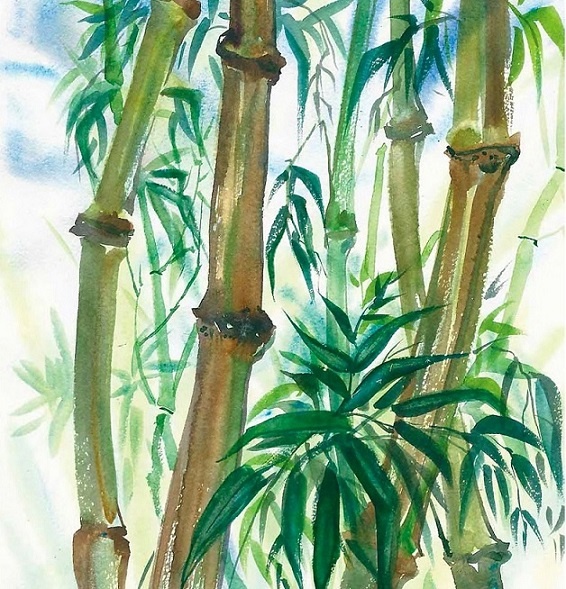 Иллюстрация к книге — Жизнь замечательных растений [zhizn_zamechatelny_rastenijj01151.jpg]