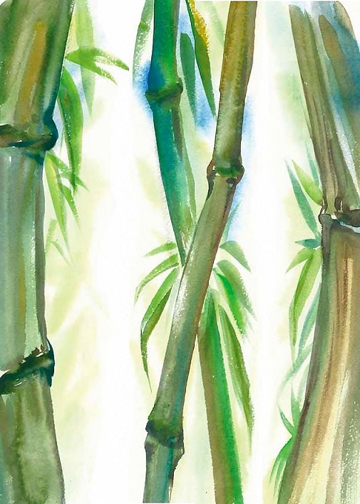 Иллюстрация к книге — Жизнь замечательных растений [zhizn_zamechatelny_rastenijj01171.jpg]