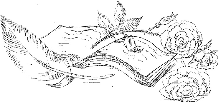 Иллюстрация к книге — Жизнь замечательных растений [zhizn_zamechatelny_rastenijj01211.jpg]