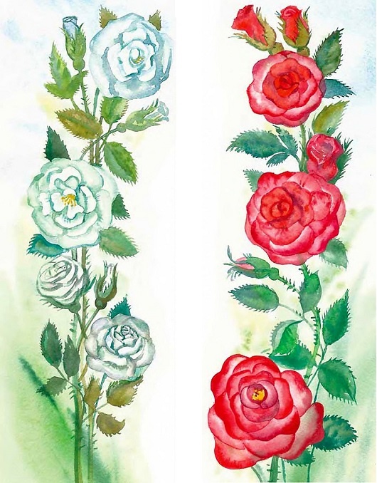 Иллюстрация к книге — Жизнь замечательных растений [zhizn_zamechatelny_rastenijj01231.jpg]