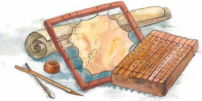 Иллюстрация к книге — Жизнь замечательных растений [zhizn_zamechatelny_rastenijj01481.jpg]