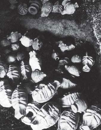 Иллюстрация к книге — Феномен куклы в традиционной и современной культуре. Кросскультурное исследование идеологии антропоморфизма [i_067.jpg]