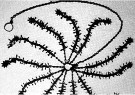 Иллюстрация к книге — Смертная казнь. История и виды высшей меры наказания от начала времен до наших дней [i_128.jpg]