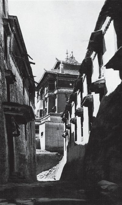 Иллюстрация к книге — Тибет: сияние пустоты [_64.jpg]