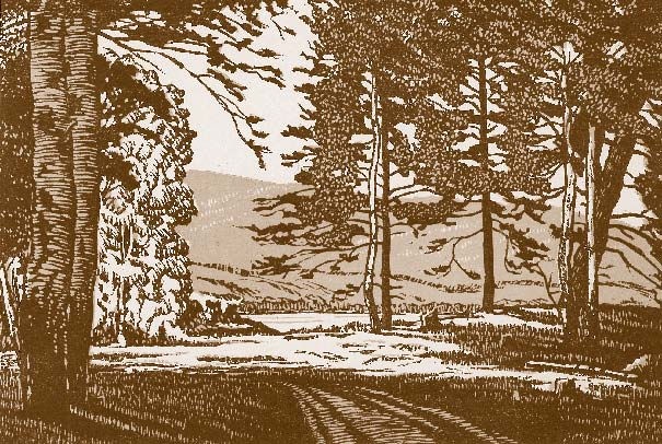 Иллюстрация к книге — Немцы на Южном Урале [i_050.jpg]