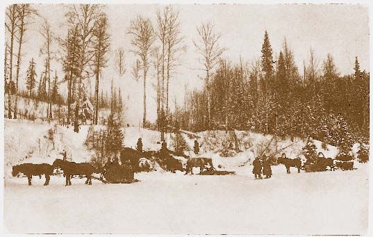 Иллюстрация к книге — Немцы на Южном Урале [i_122.jpg]