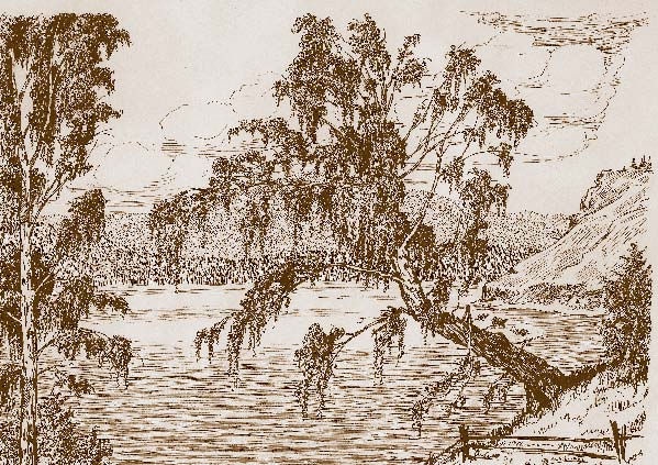 Иллюстрация к книге — Немцы на Южном Урале [i_193.jpg]