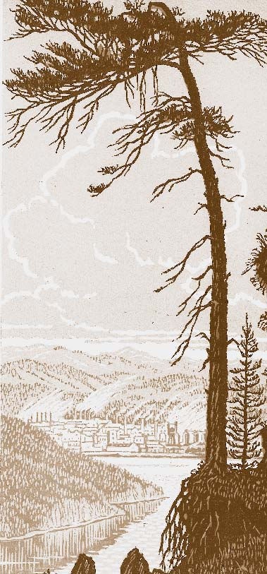 Иллюстрация к книге — Немцы на Южном Урале [i_200.jpg]