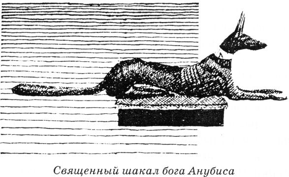 Иллюстрация к книге — Тайны древнего мира [untitled42.jpg]