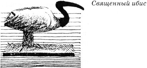 Иллюстрация к книге — Тайны древнего мира [untitled45.jpg]