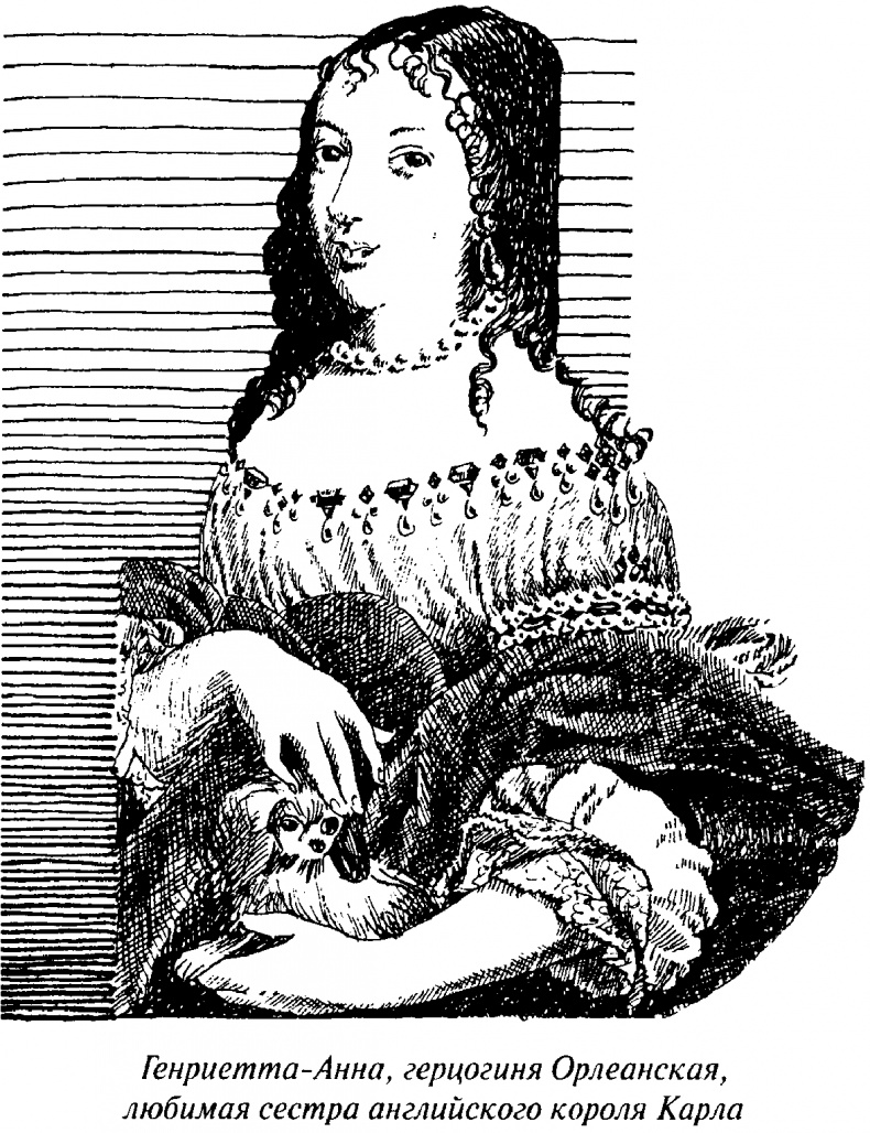 Иллюстрация к книге — Тайны Нового времени [_044.jpg]