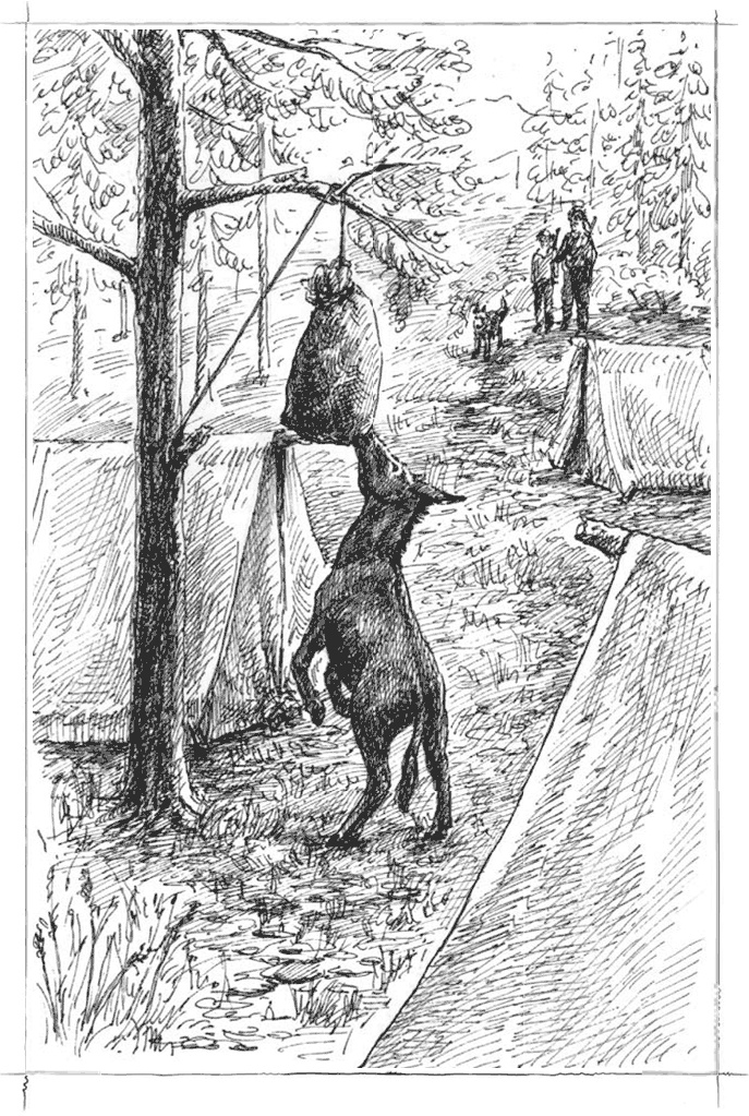 Иллюстрация к книге — Маленький золотоискатель [b00001219.jpg]