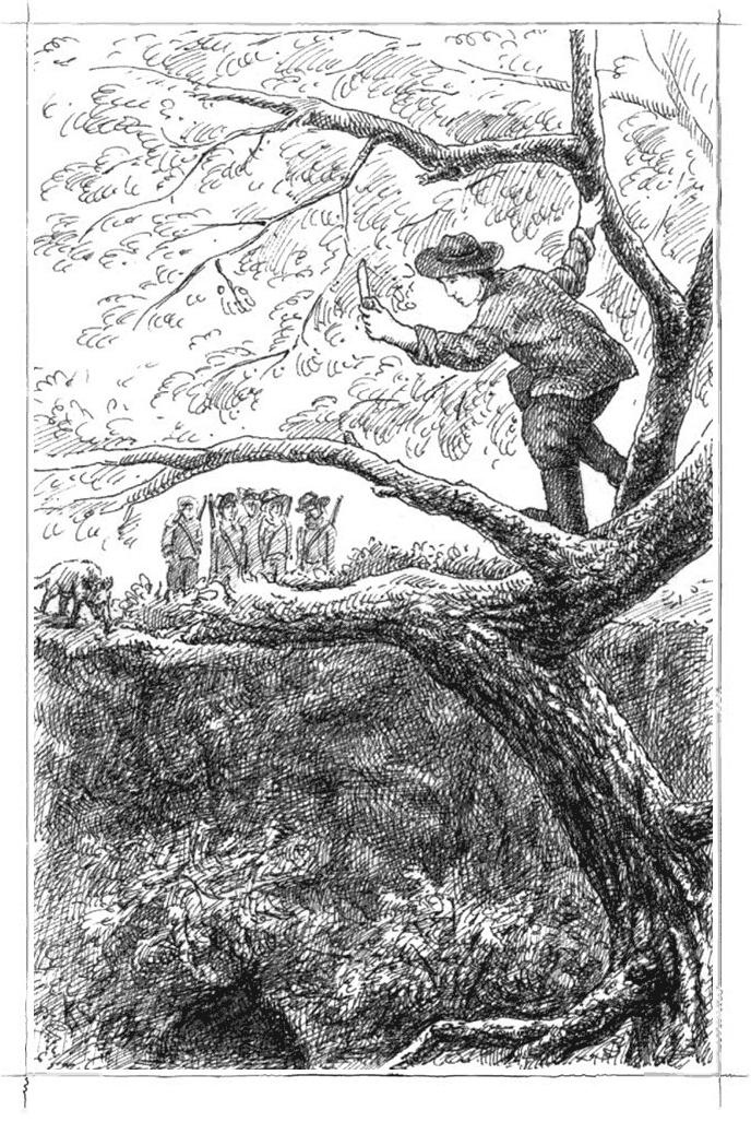 Иллюстрация к книге — Маленький золотоискатель [b00001626.jpg]